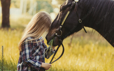 Why Horses Are Often The Best Therapists