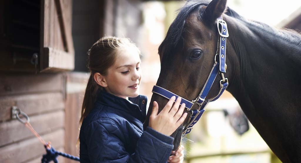 South-Florida-Equine-Therapy_Horses-Healing-Hearts_COA-Blog_3
