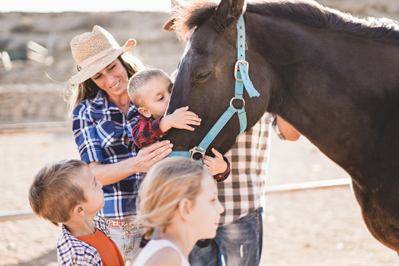 Florida Equine Assisted Therapy_Horses Healing Hearts_Collaborative w-Horse.jpg