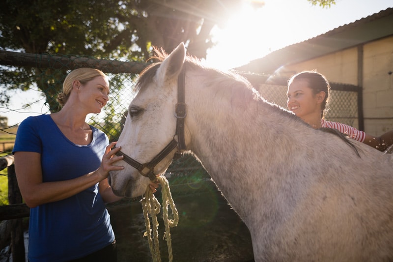 Florida Equine Assisted Therapy_Horses Healing Hearts_Support System.jpg